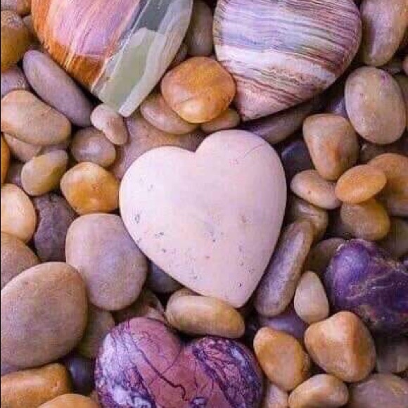 Meet your Posher, Tabitha - Picture 6 of 8